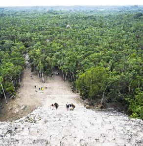 coba-view-of-the-lost-in-the-jungle